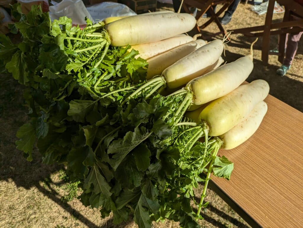 12/21 木更津FMに大根企画追加】つかみ取り500円!! | Dream Street協同組合